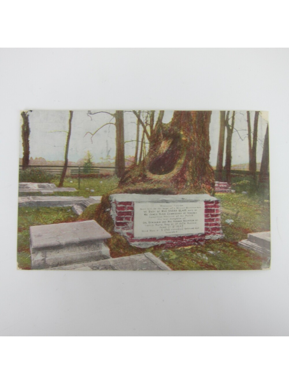 Vintage Postcard Jamestown Virginia Graveyard Sycamore Tree James & Sarah Blair